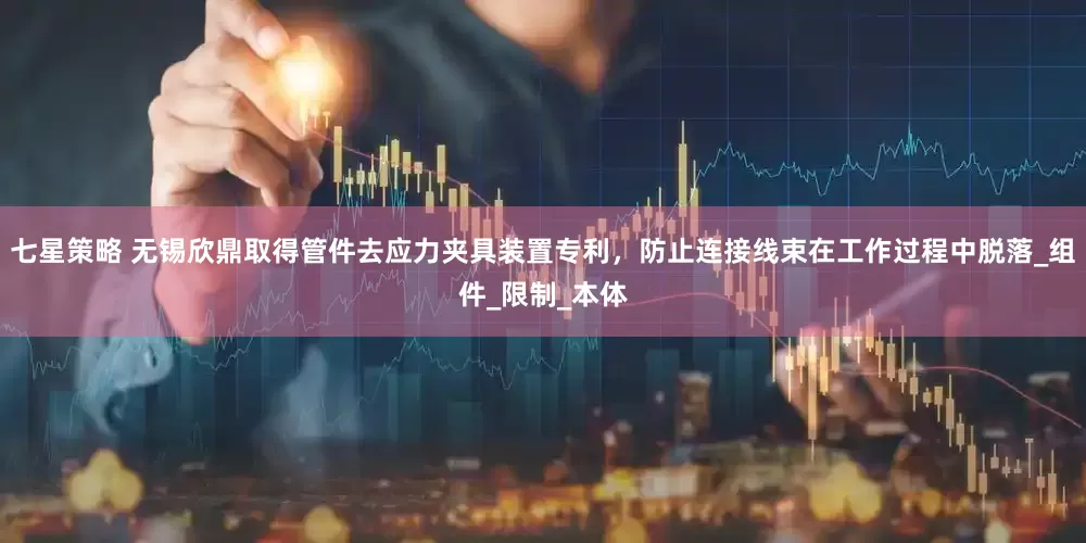 七星策略 无锡欣鼎取得管件去应力夹具装置专利，防止连接线束在工作过程中脱落_组件_限制_本体