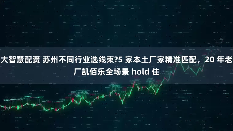 大智慧配资 苏州不同行业选线束?5 家本土厂家精准匹配,20 年老厂凯佰乐全场景 hold 住