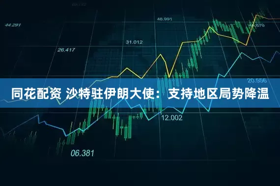 同花配资 沙特驻伊朗大使：支持地区局势降温